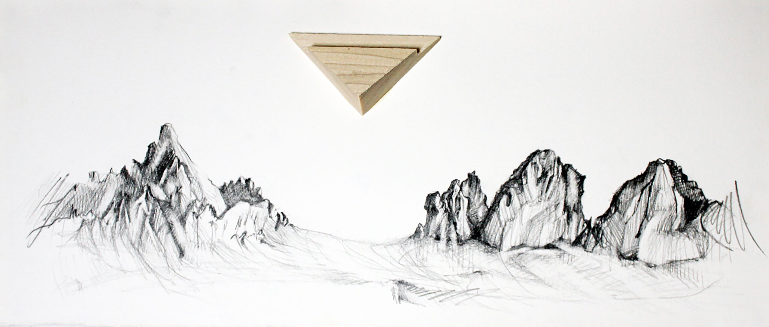 untitled 2 - grafite su carta e legno di tiglio - 2014